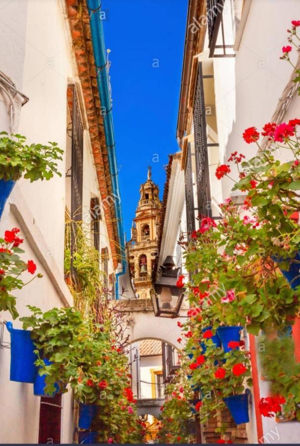 Apartmán Centro-Mezquita 4 A 8 Huespedes Córdoba Exteriér fotografie
